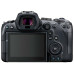 Цифровая фотокамера Canon EOS R6 + RF 24-105 f/4.0-7.1 IS STM (4082C046)